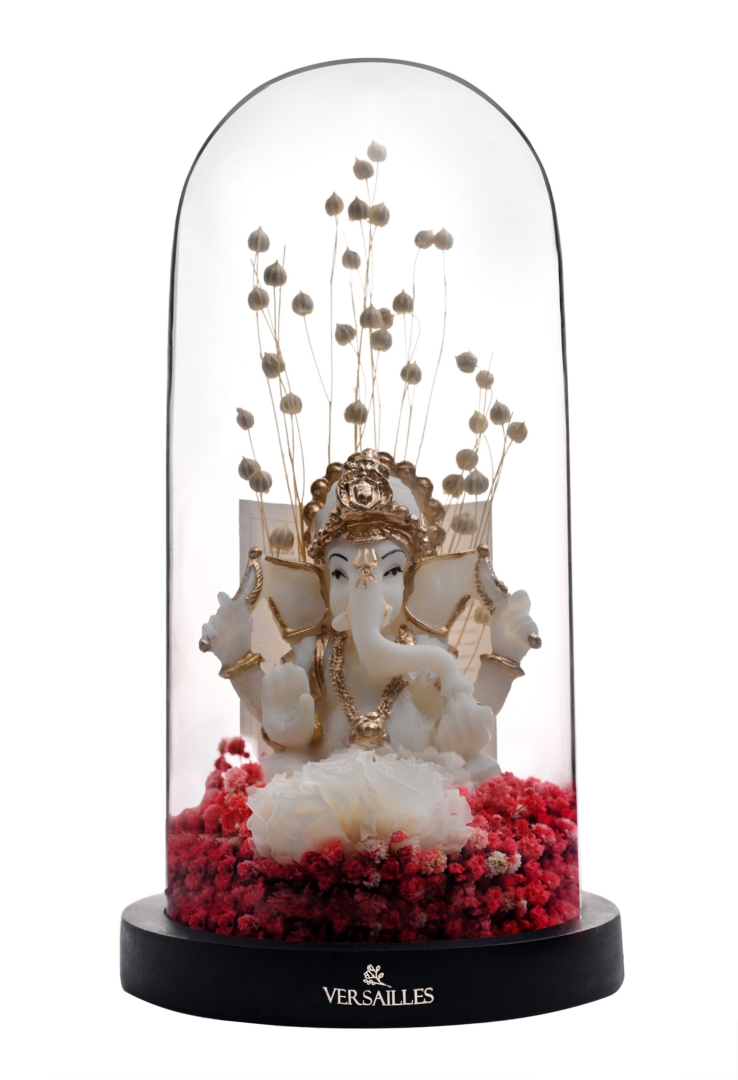 Jai Shree Ganesh (DM_Dv_04)