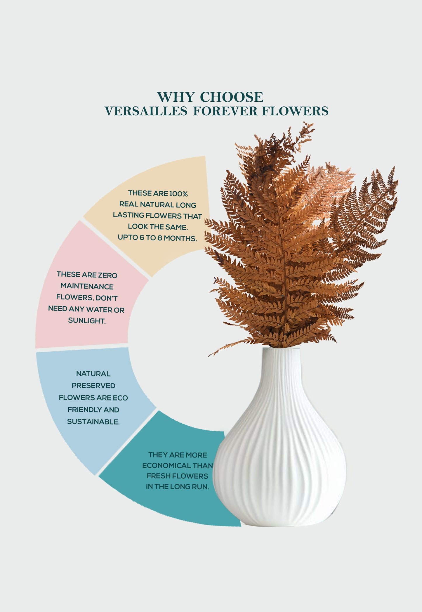 Leather Fern (FS-13)
