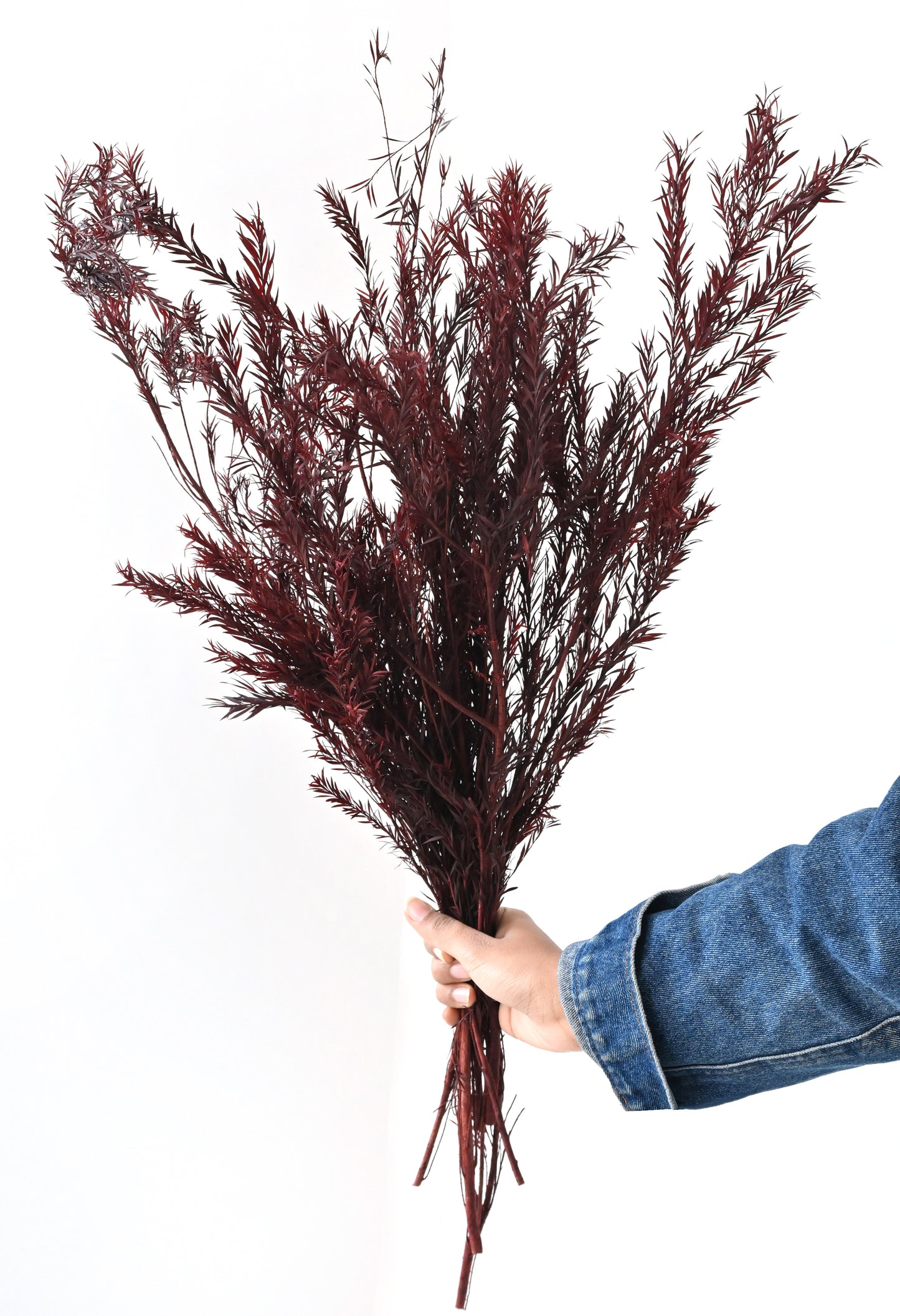 Bottle Brush (FS-08)