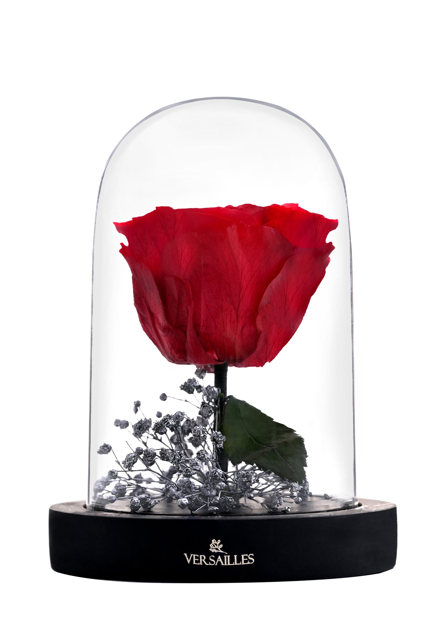 SULTRY rouge (DS-04 Red)