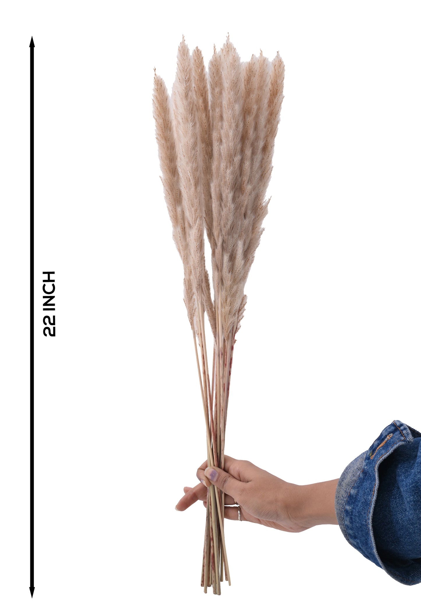 Fox Tail Dry (FD-10)