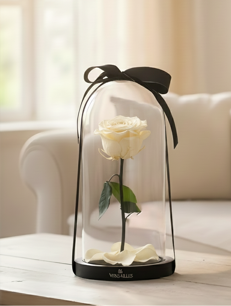 Forever White Rose