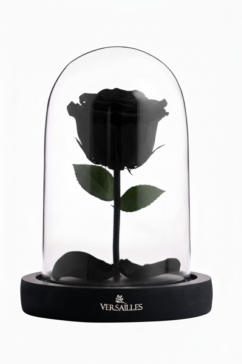 Forever Love (DS-01 Black)