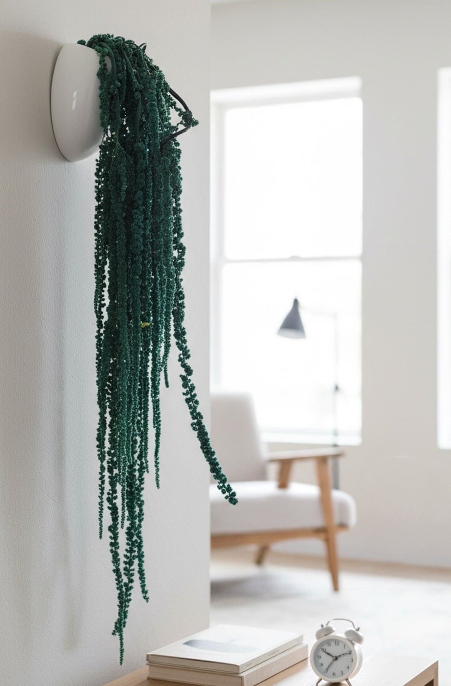 Amaranthus (FS-10)