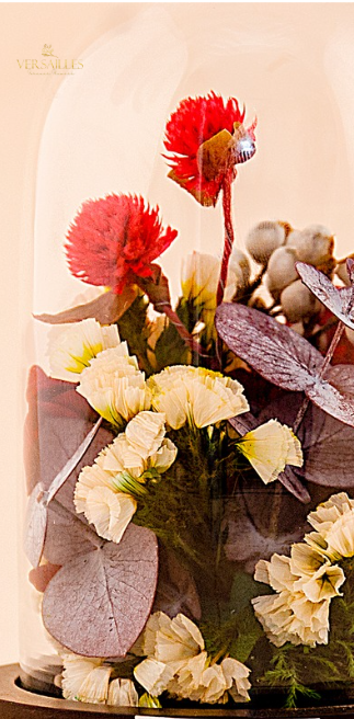 Enchanted Oasis (DS-13)