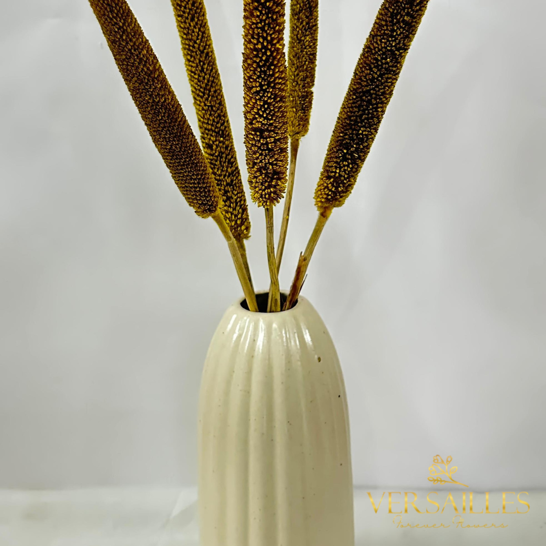Millet Sticks (FD-01)