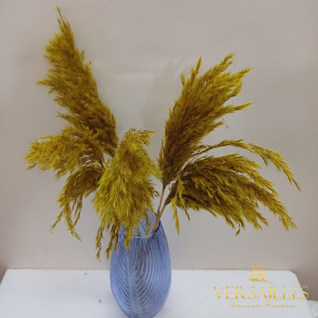 Natural Pampas (FD-03)