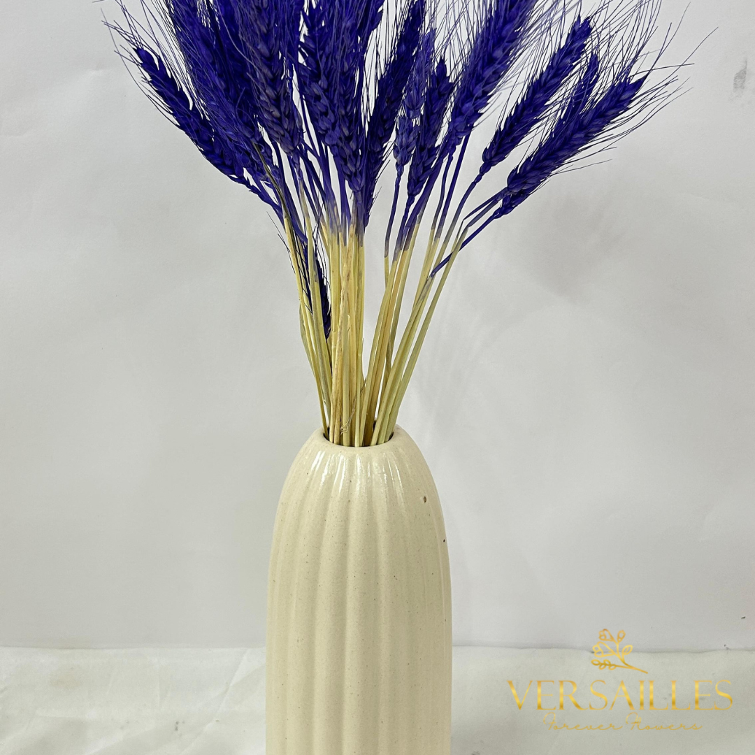 Natural Wheat Grass (FD-04)