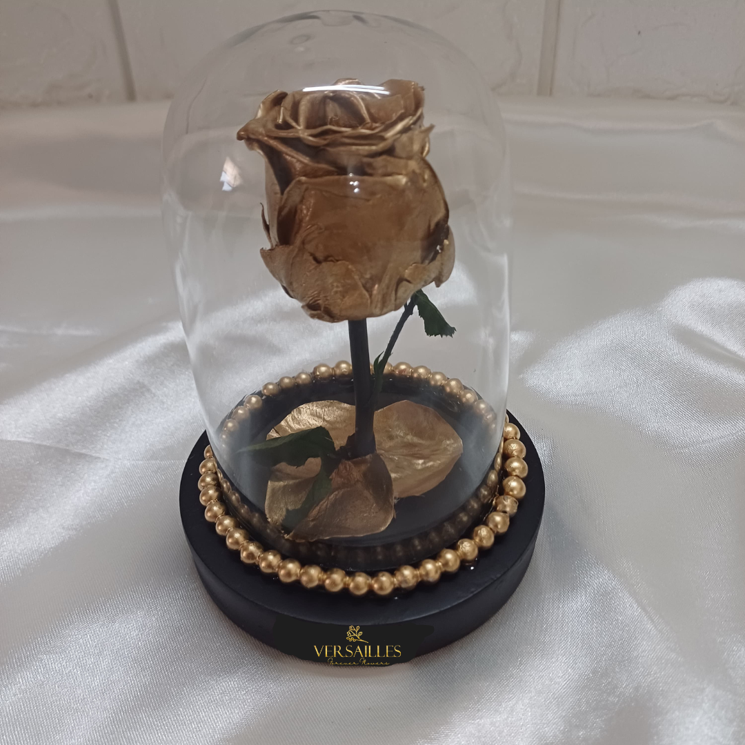 SYMPHONY GOLD (DS-35)