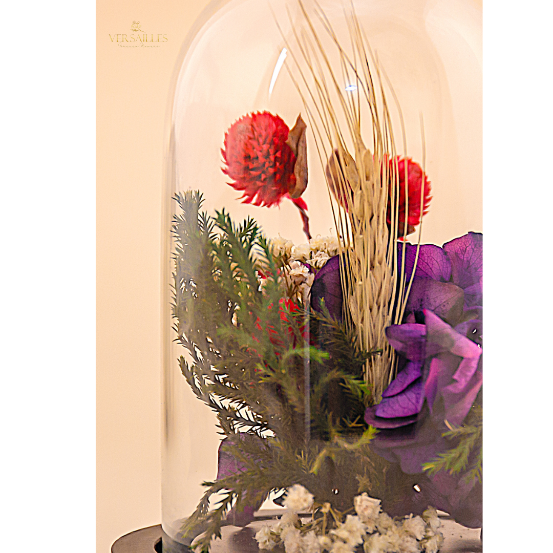 Wheaty Beauty (DS-4)