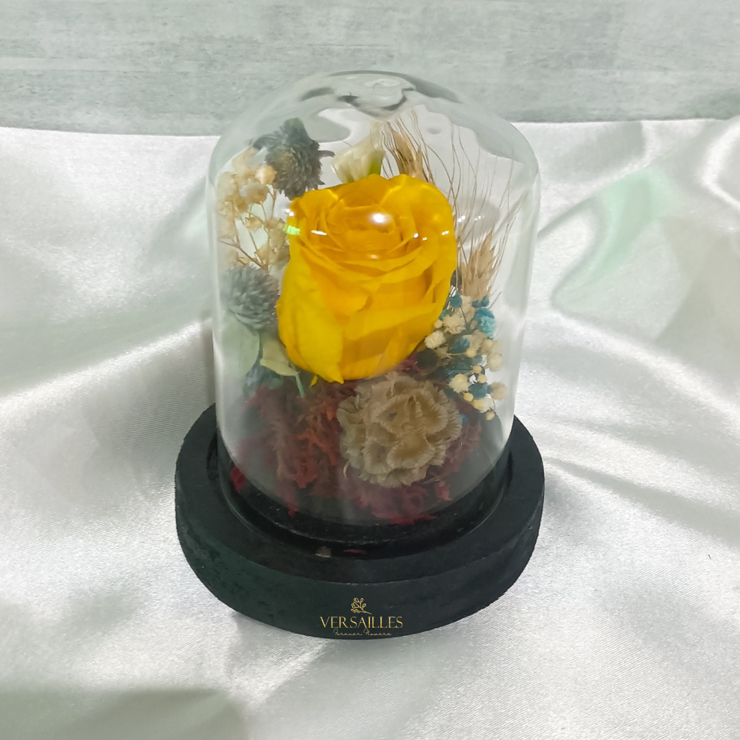 Bloom Sanctury (DS-16)