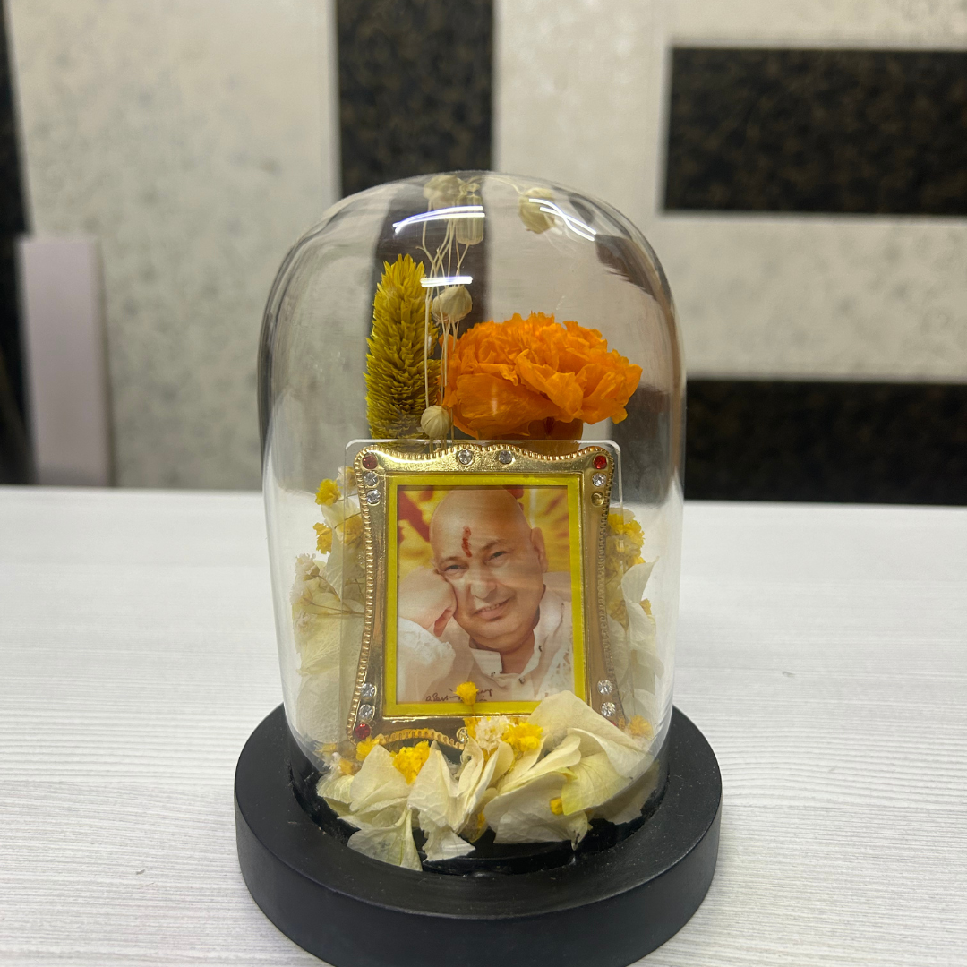 Guruji's Pure Grace (DS_Dv-06)