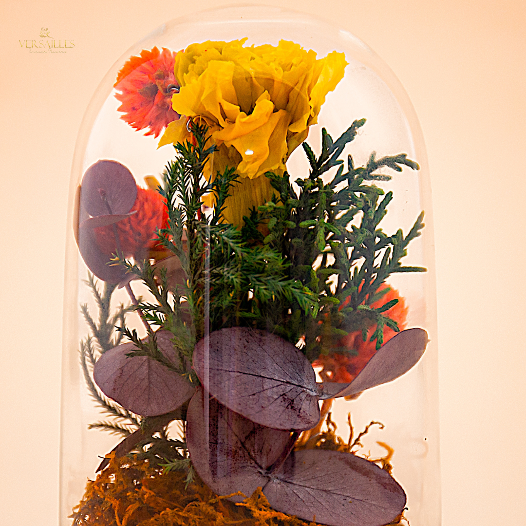 Moss Estelle (DS-06)