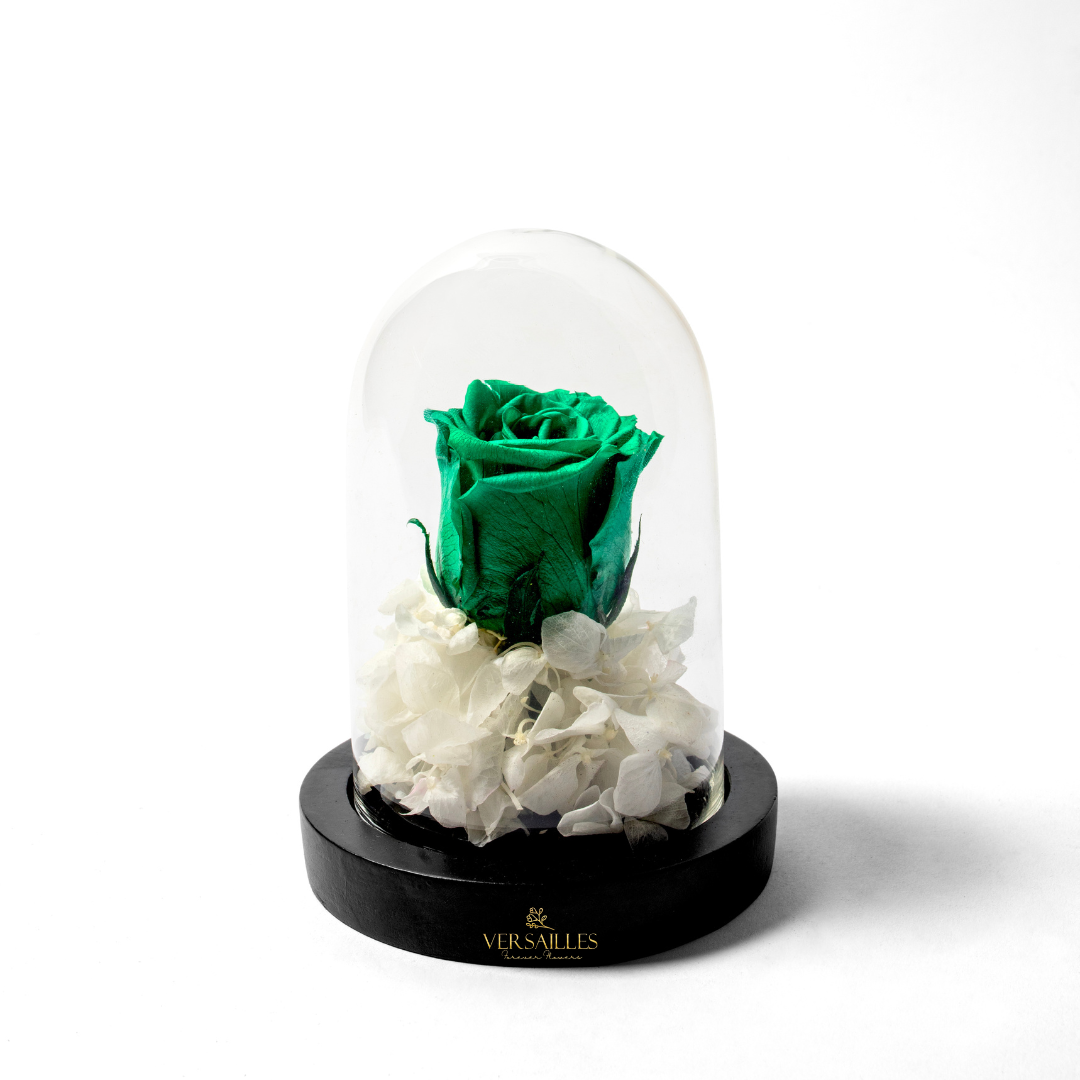 Serene Haven (DS-05)