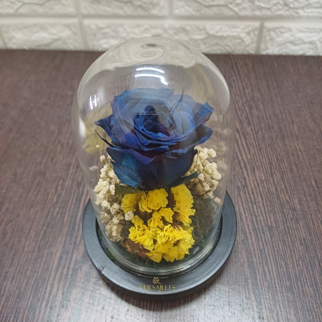 Nature's Harmony (DS-17)