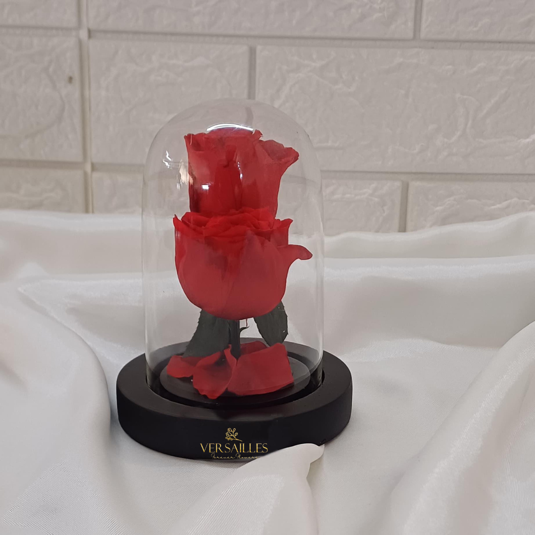 Twinning Reds (DS-22)