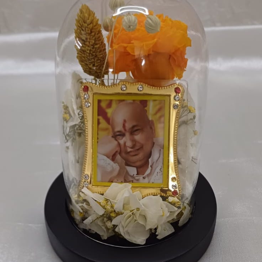 Guruji's Pure Grace (DS_Dv-06)