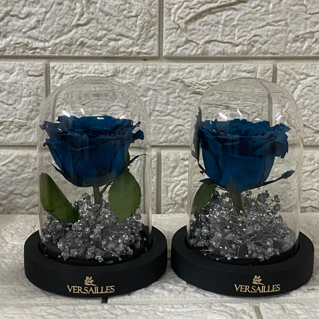 Brilliant Glow (DS-38)