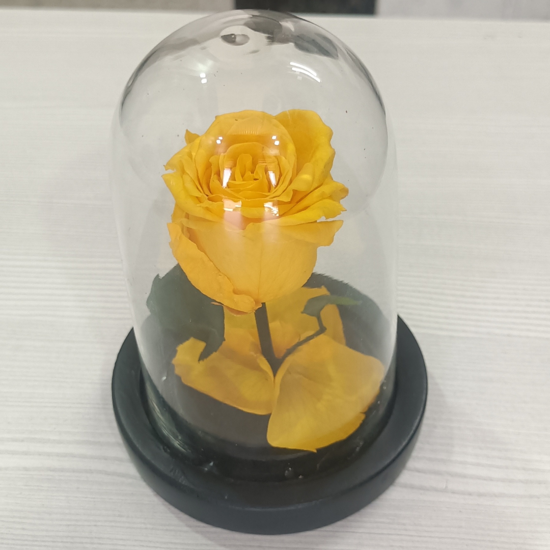 Forever Love (DS-13)