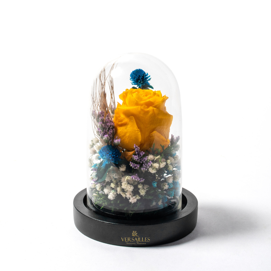 Alluring Flora (DS-07)