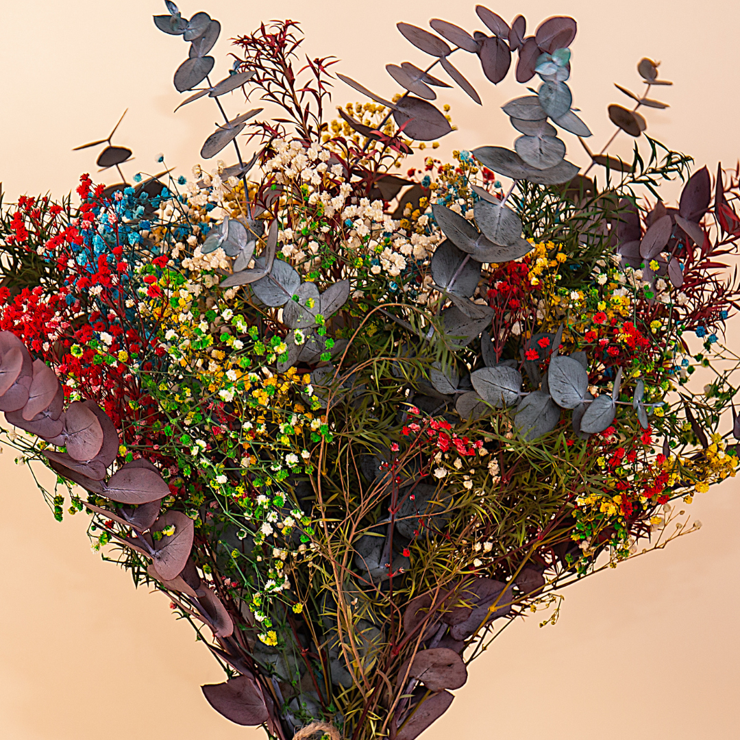 Frosty Twilight (BQ-13)