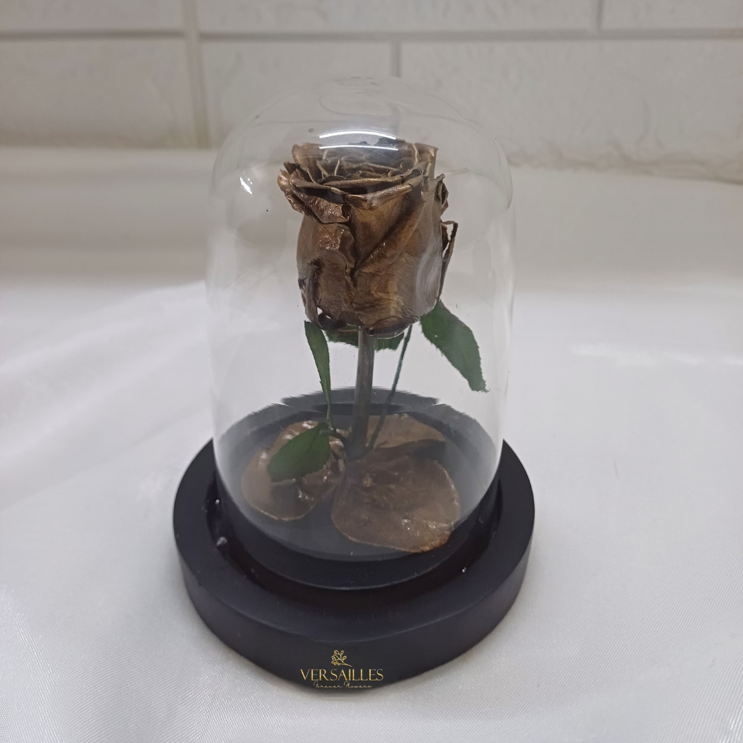 Forever Love (DS-20)