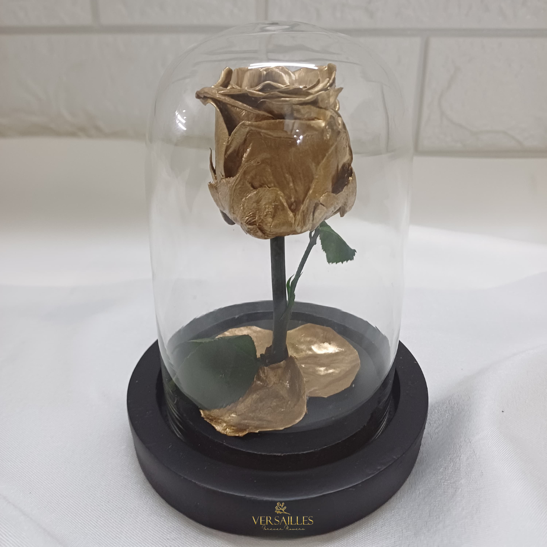 Forever Love (DS-18)