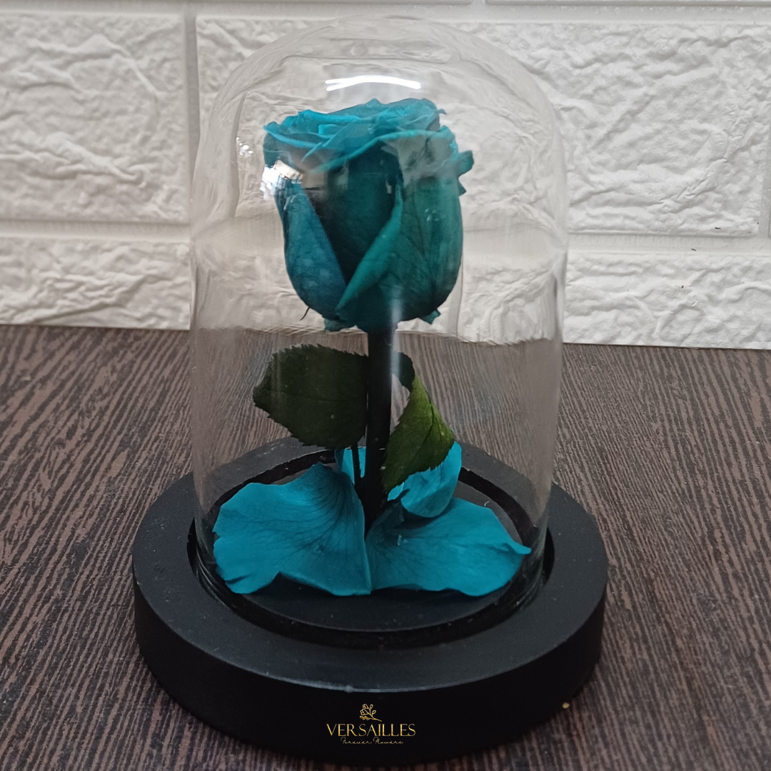 Forever Love (DS-11)