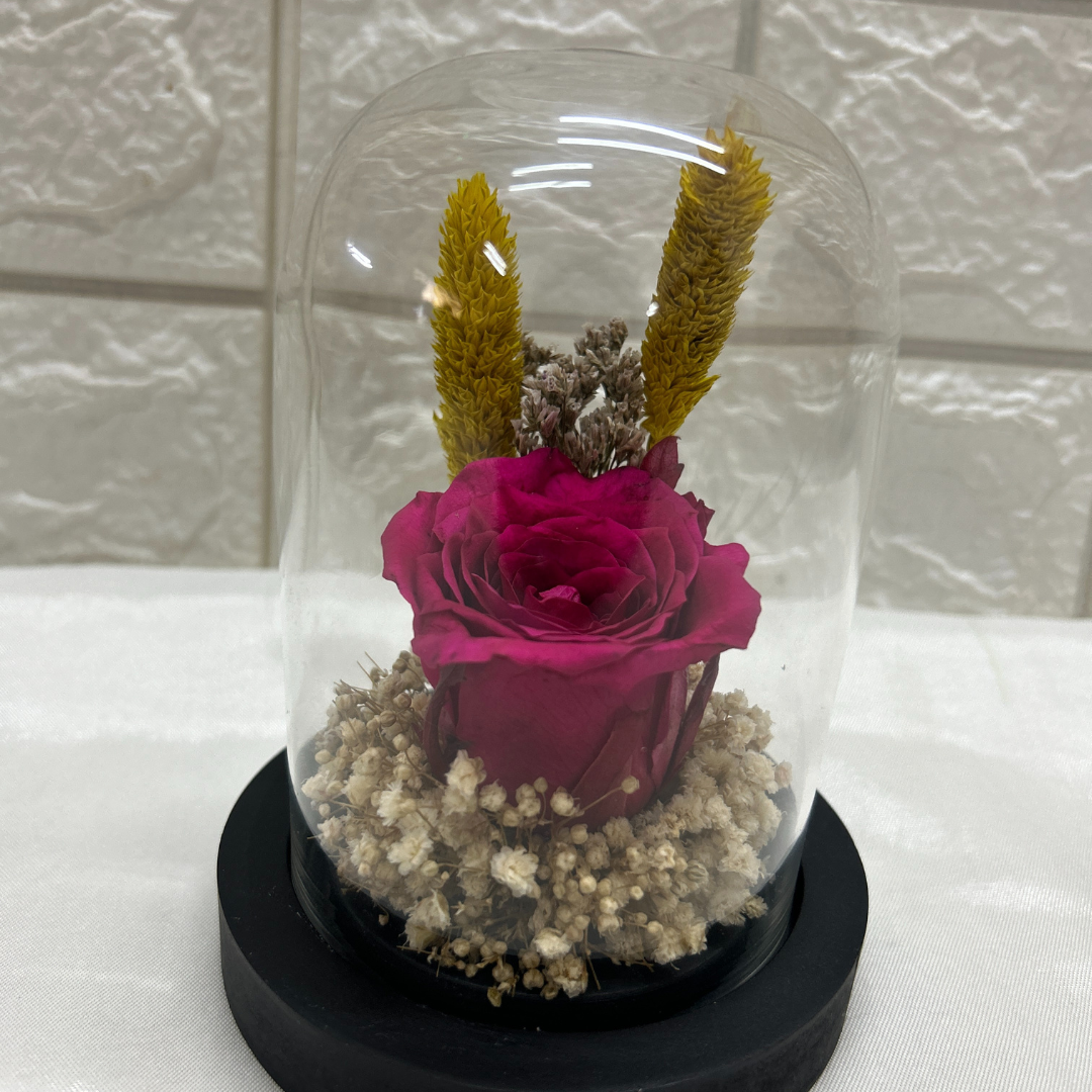 Infinite Charm (DS-26)