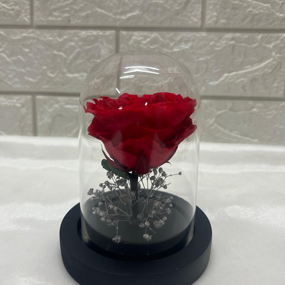 SULTRY rouge (DS-24)