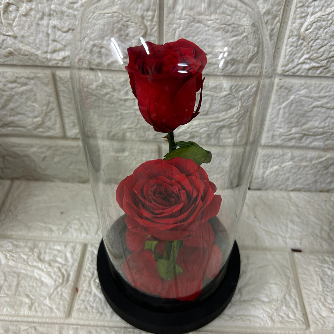Double Decker Red (DM-36)
