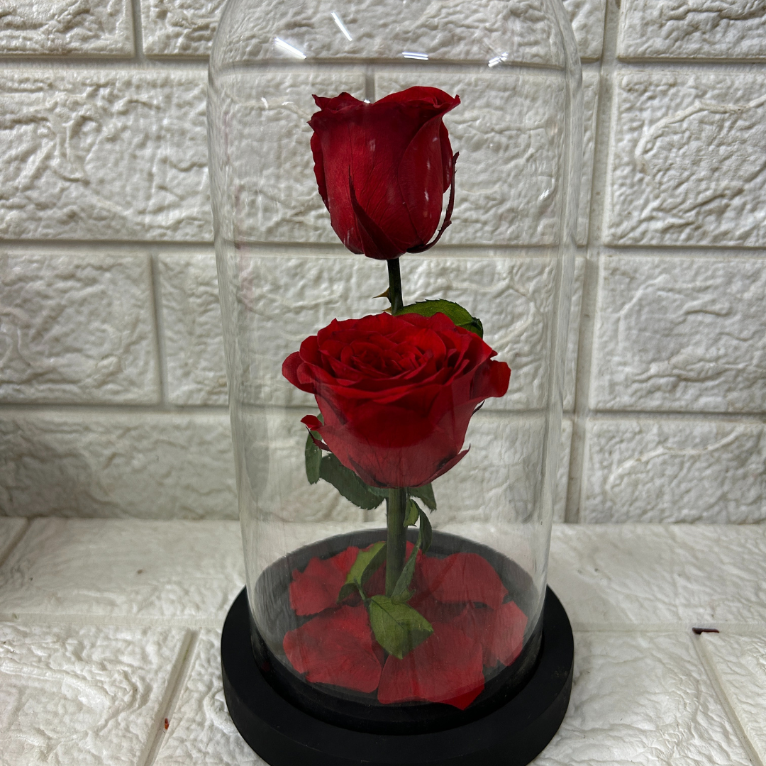 Double Decker Red (DM-36)