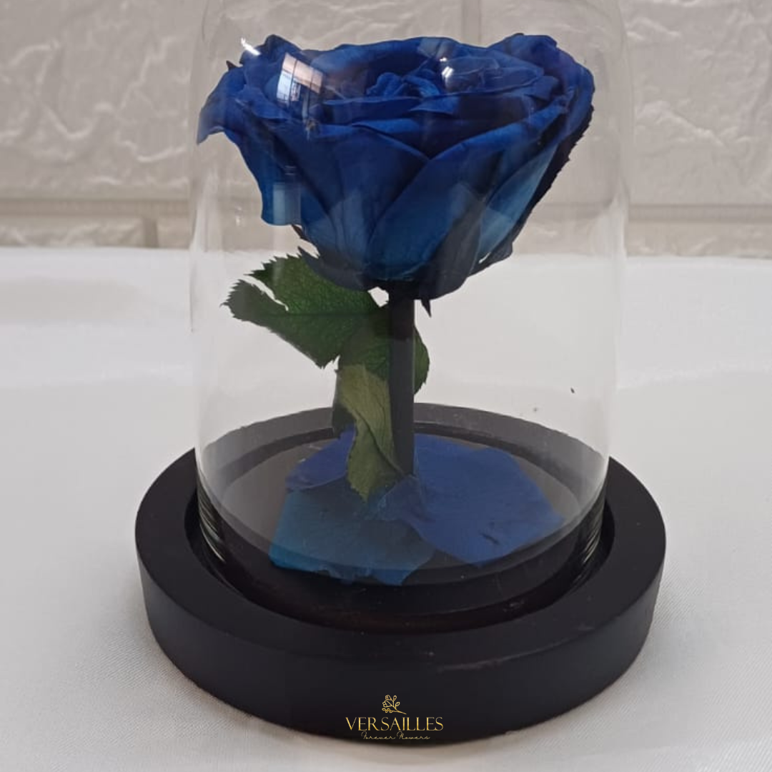 Forever Love (DS-21)