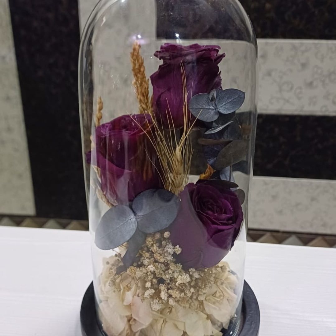 Astral Radiance (DM-19)