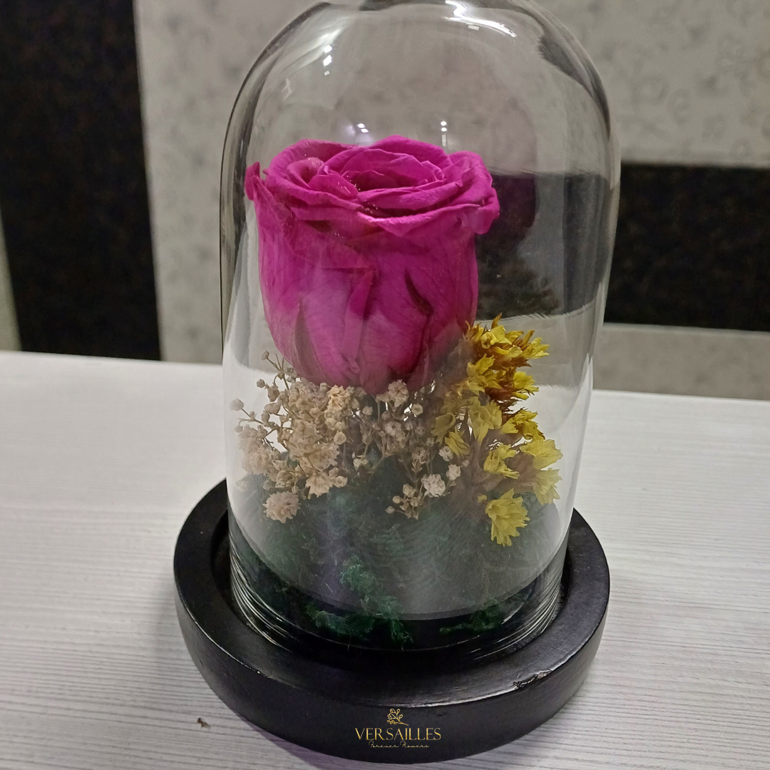 Blossoming Love (DS-15)