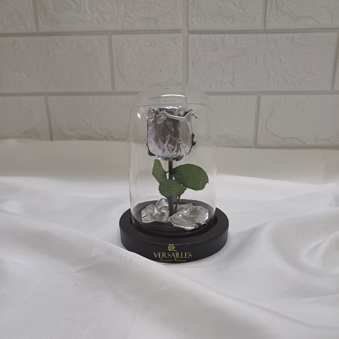 Forever Love (DS-19)