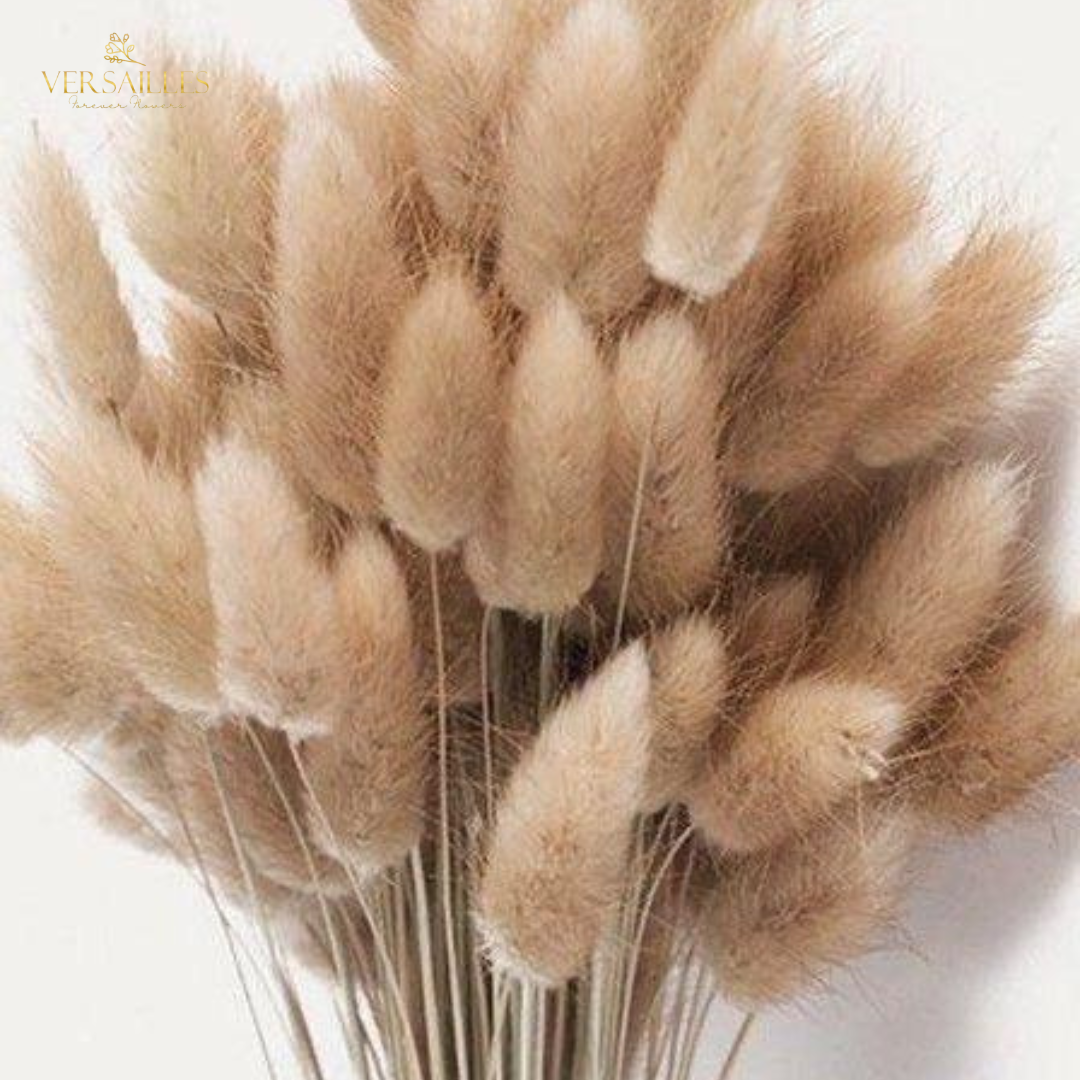 Bunny Tail Dry (FD-11)