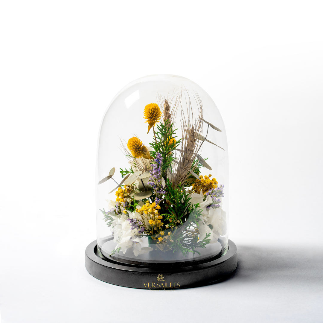 Glowing Whisper (DL-03)