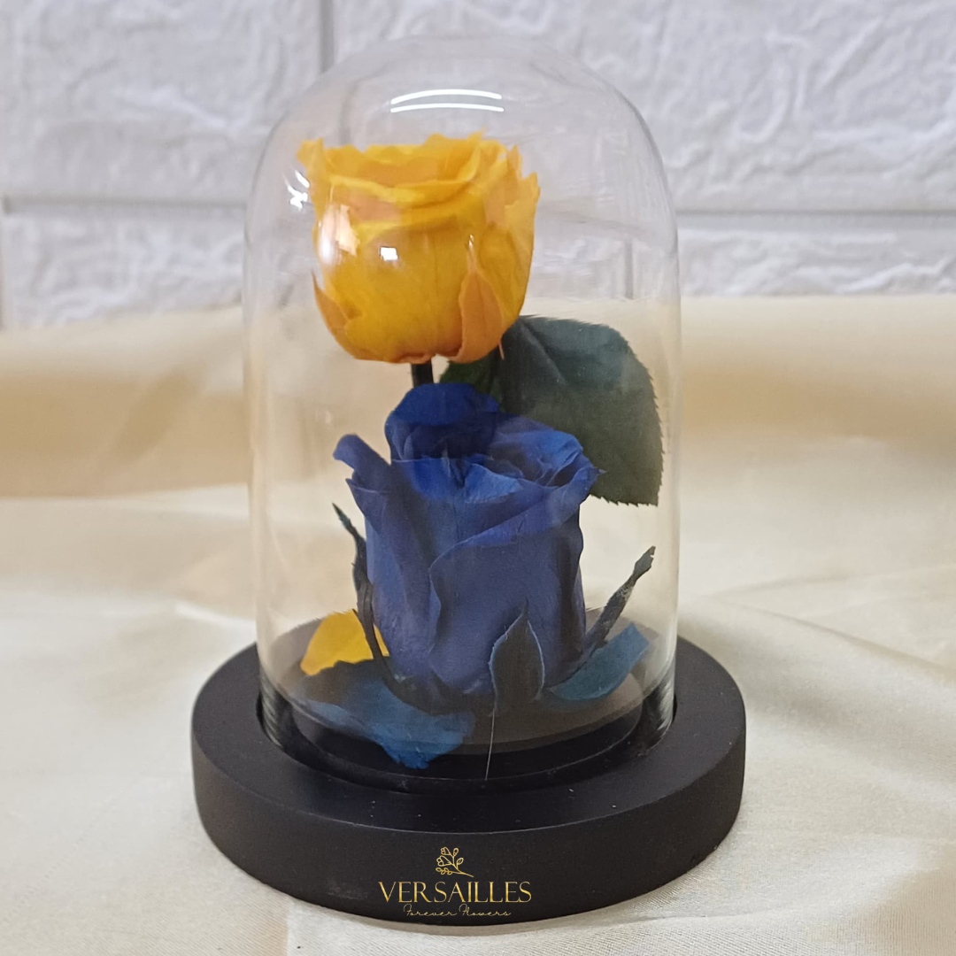 Angelic Twins (DS-33)