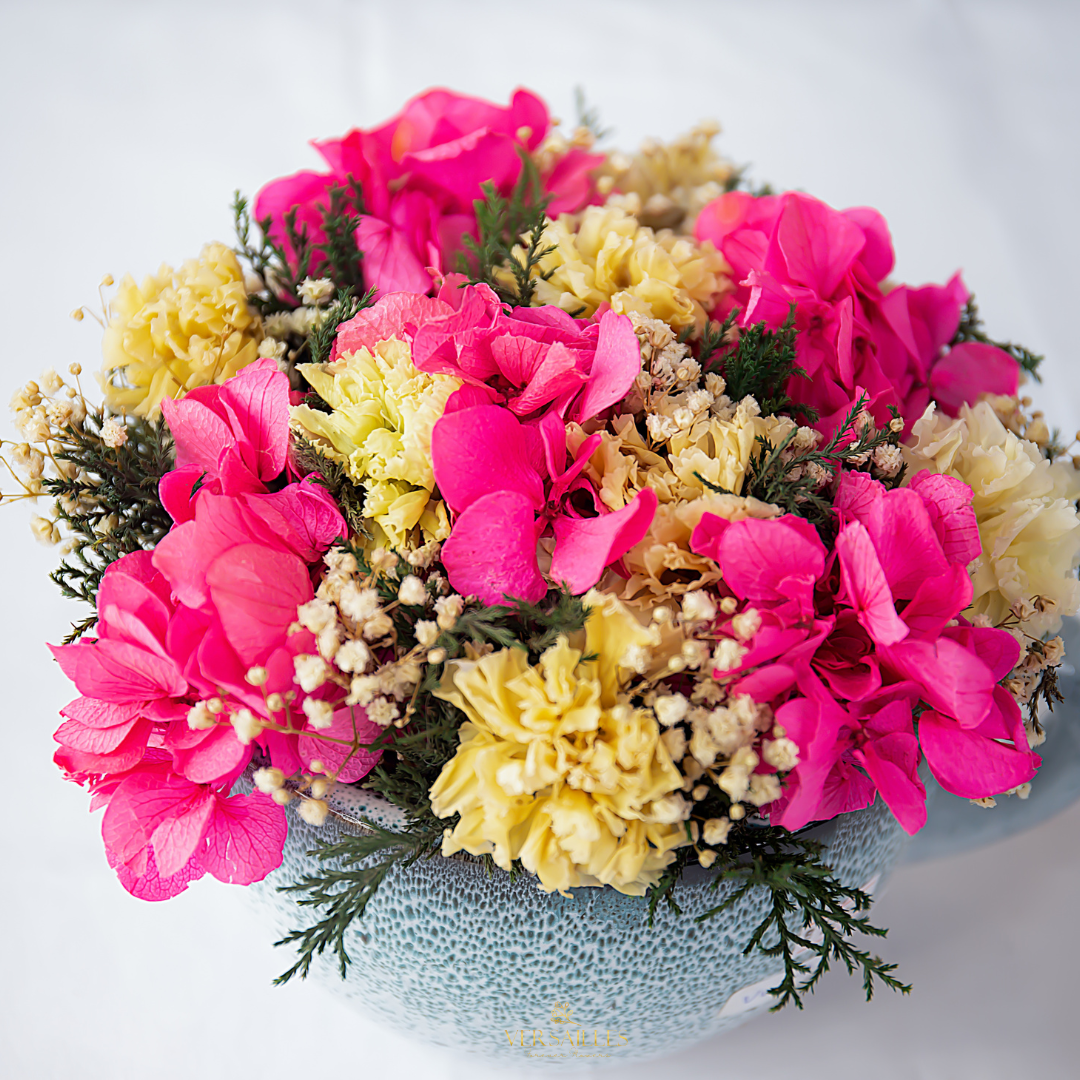 Stardust Symphony (ARV -06)