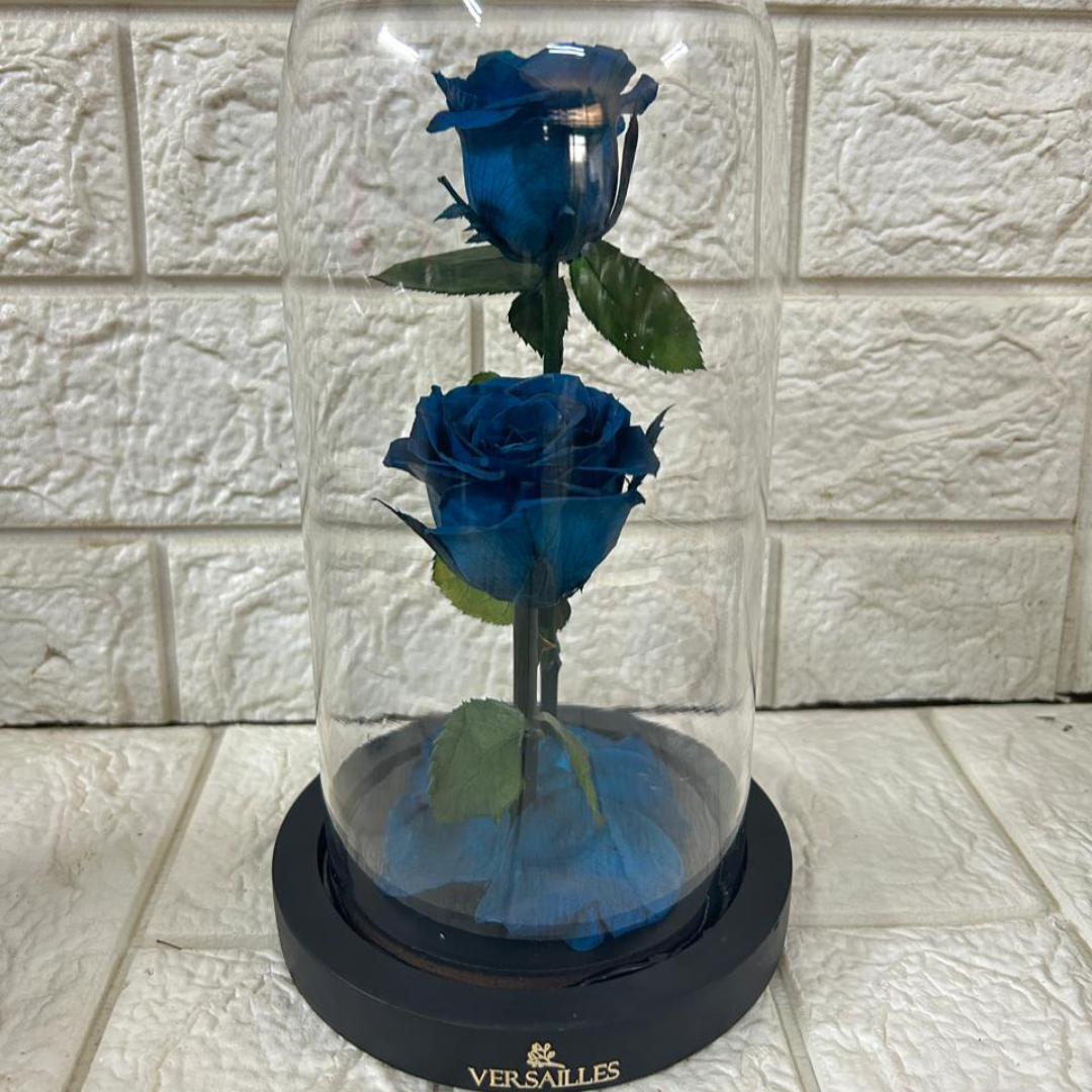 Forever Love Twin Blue (DM-46)