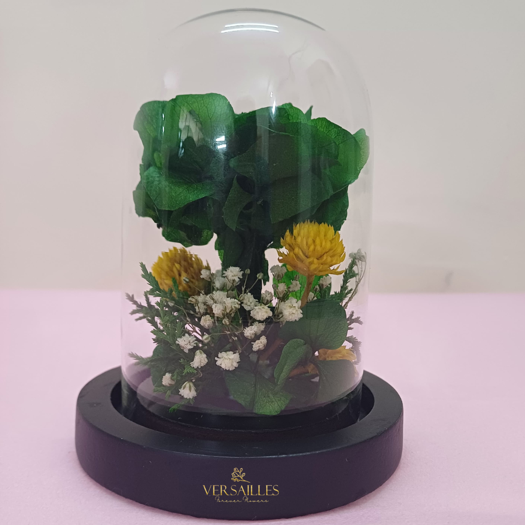 Greener Pasture (DS-36)