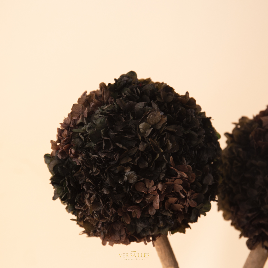 Twinning love (BT-06)