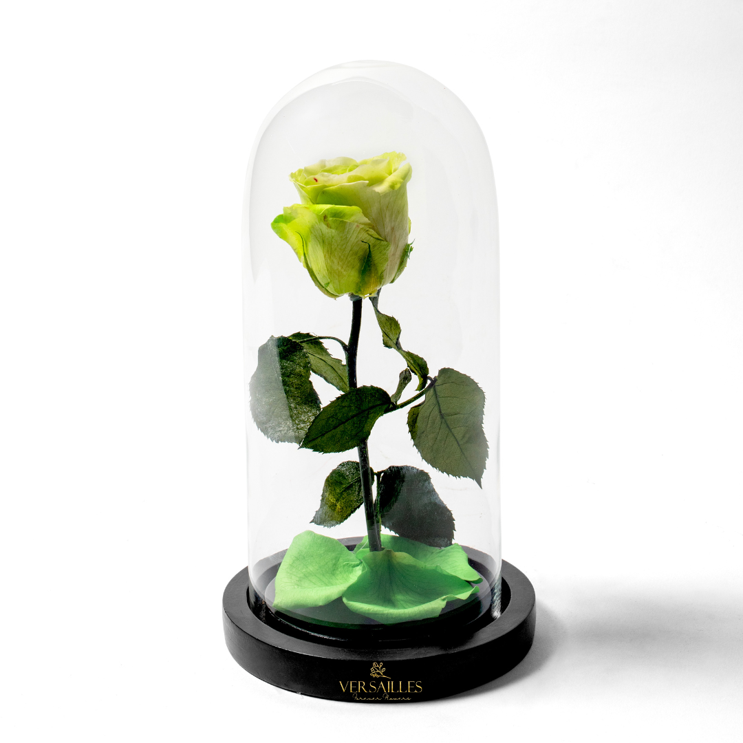 Forever Love LGR (DM-10)