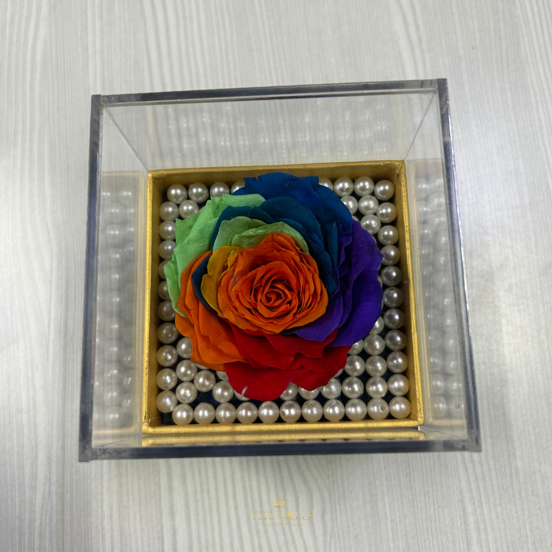 Le Royale Arcencial (KP-02)