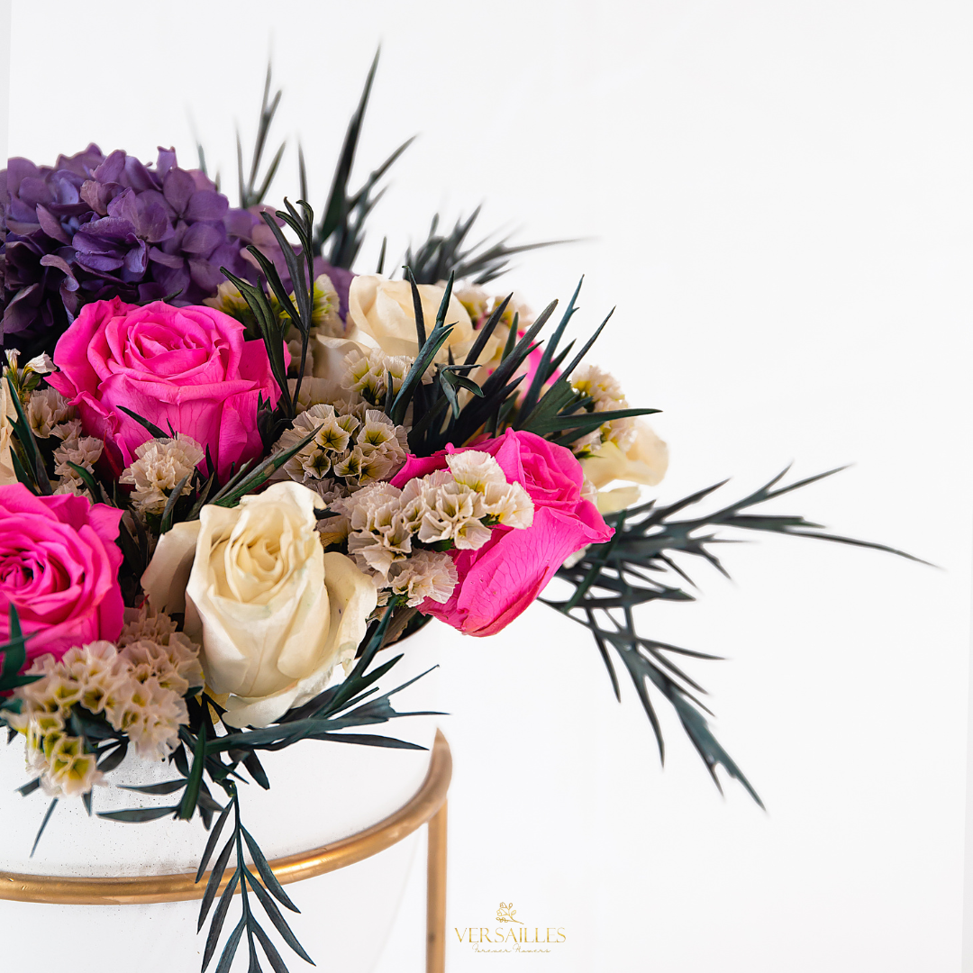 Wonderland Assemlage (ARV-04)