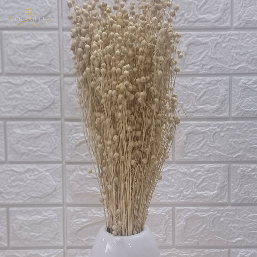 Natural Tishi Grass (FD-05)