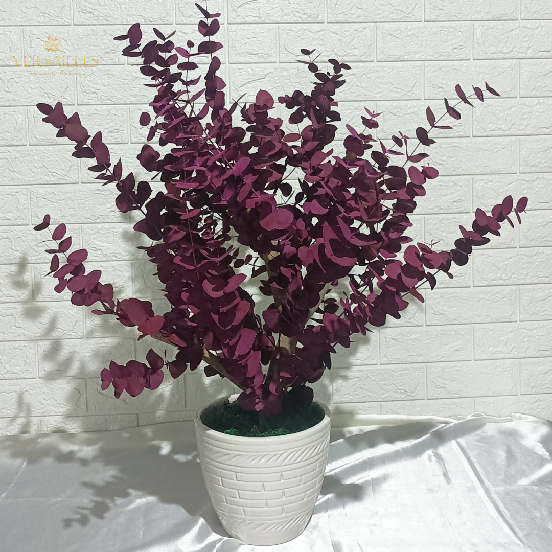 Valentine's love (BT-11)