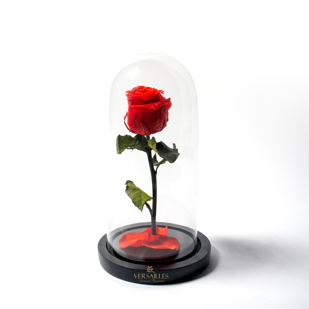 Forever Love LRR (DM-15)