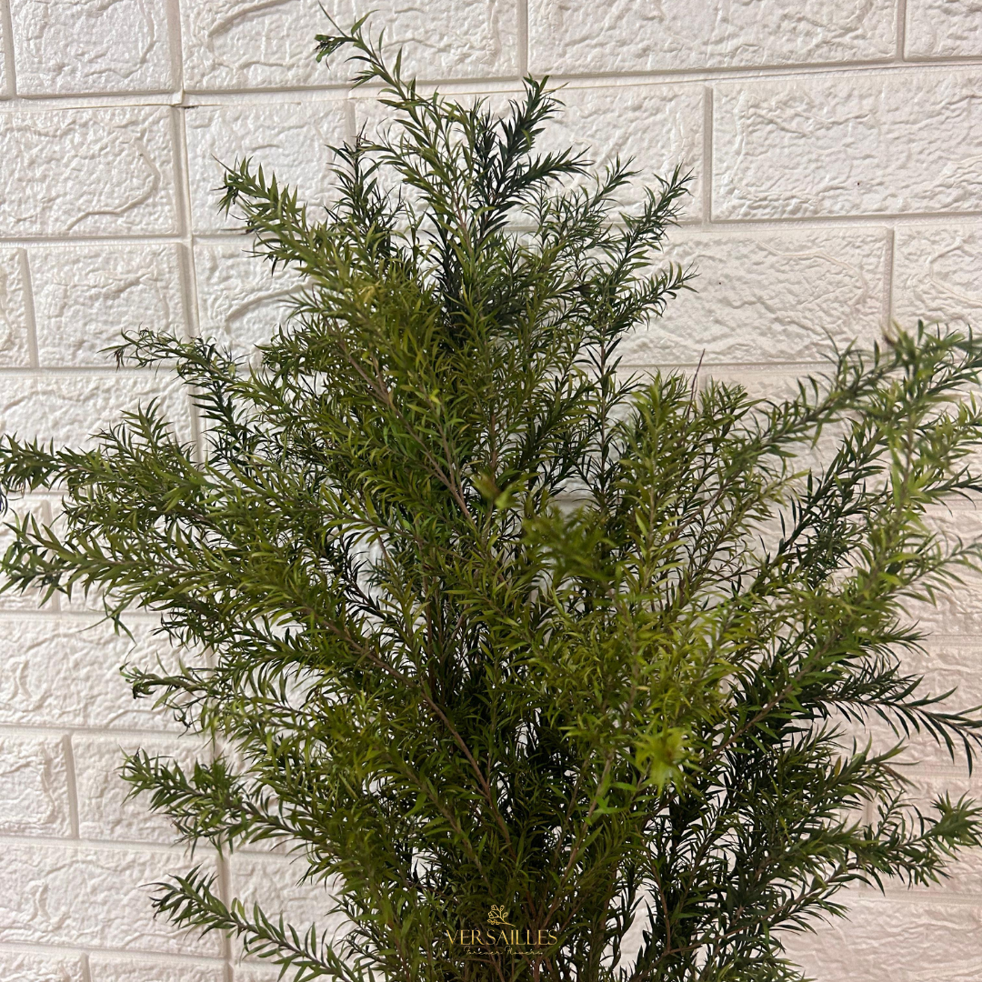 Bottle Brush (FS-08)